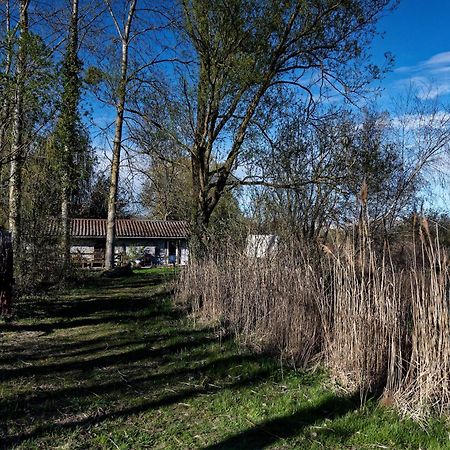 Espace Nature Studio Independant Proche Du Parc Des Oiseaux Sainte-Olive Eksteriør bilde