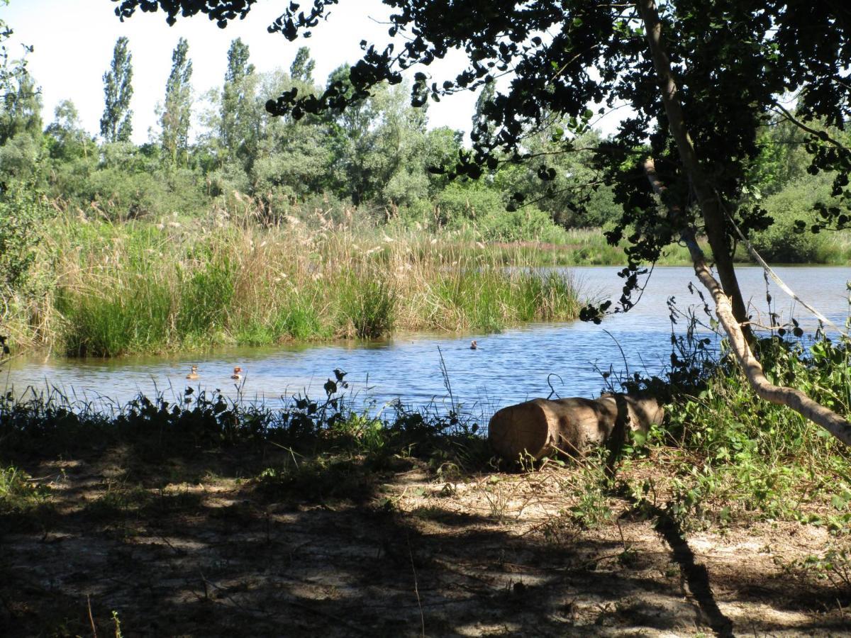 Espace Nature Studio Independant Proche Du Parc Des Oiseaux Sainte-Olive Eksteriør bilde