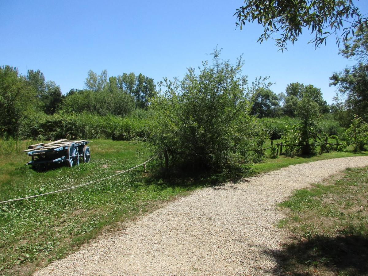 Espace Nature Studio Independant Proche Du Parc Des Oiseaux Sainte-Olive Eksteriør bilde