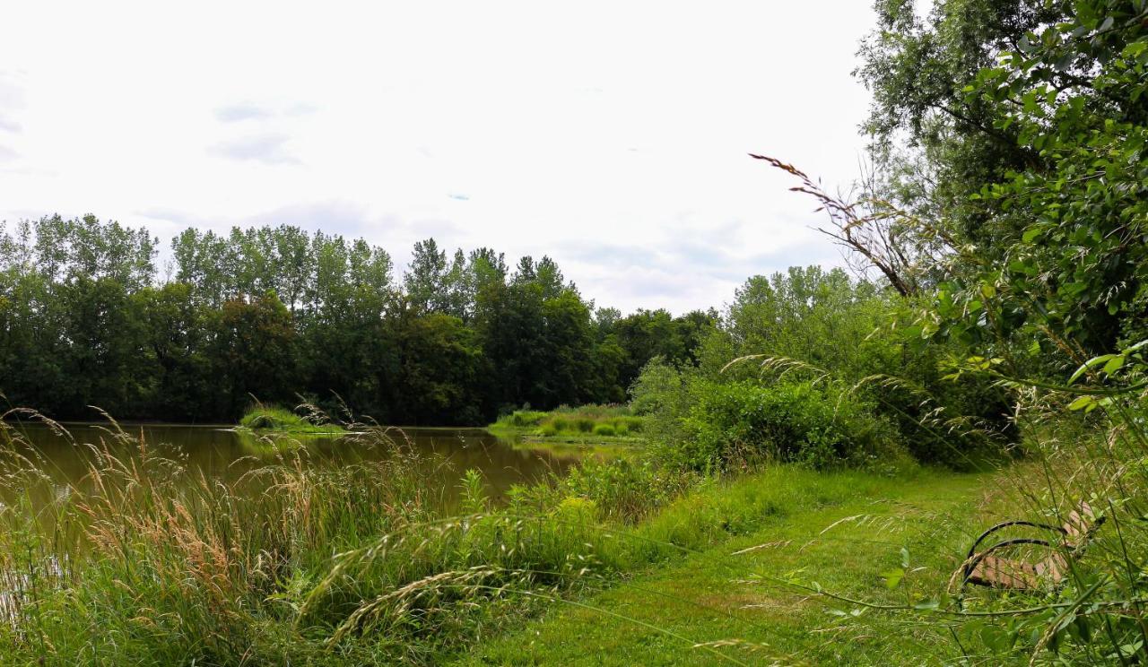 Espace Nature Studio Independant Proche Du Parc Des Oiseaux Sainte-Olive Eksteriør bilde