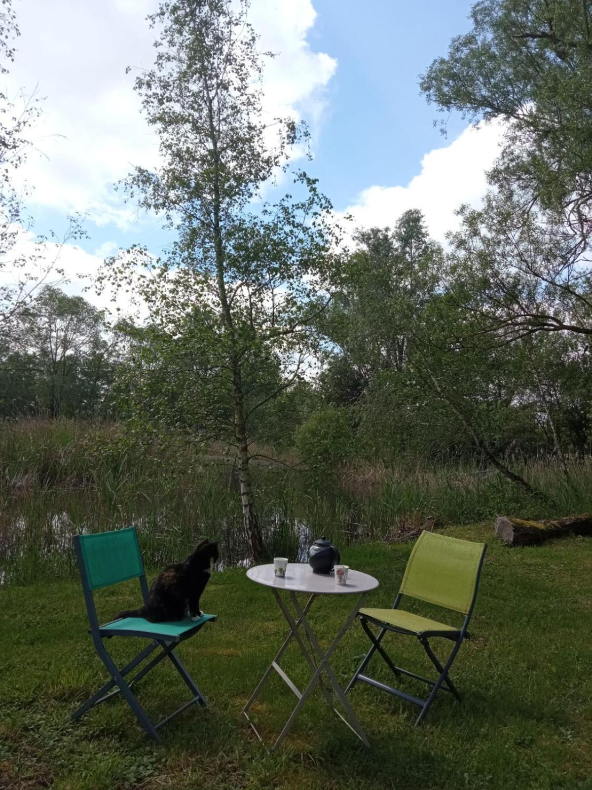 Espace Nature Studio Independant Proche Du Parc Des Oiseaux Sainte-Olive Eksteriør bilde
